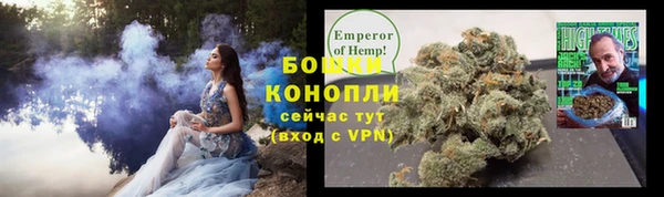 гидра Зеленодольск