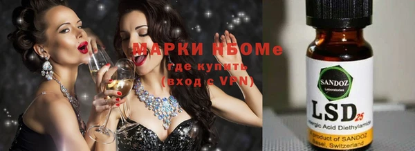 гидра Зеленодольск