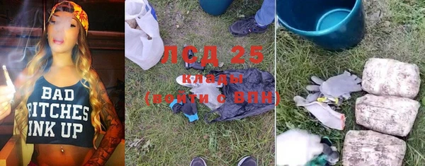 гидра Зеленодольск
