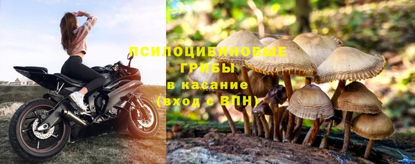 амф Зерноград