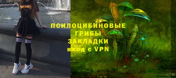 гидра Зеленодольск