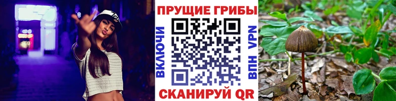 Купить  Еманжелинск  Псилоцибиновые грибы Psilocybine cubensis 